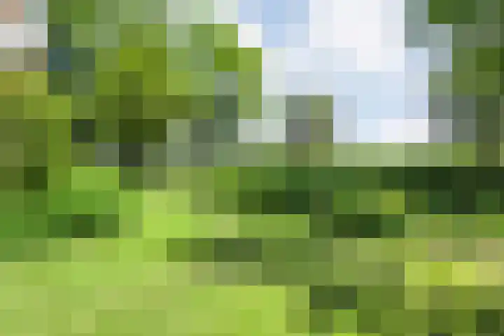 Kattenwinkelweg 4 Zwolle thumbnail 53