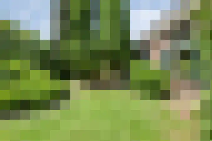 Kattenwinkelweg 4 Zwolle thumbnail 54