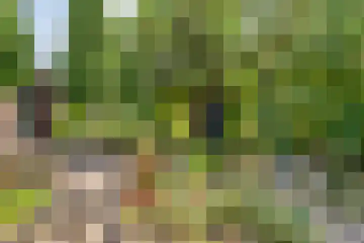 Kattenwinkelweg 4 Zwolle thumbnail 58