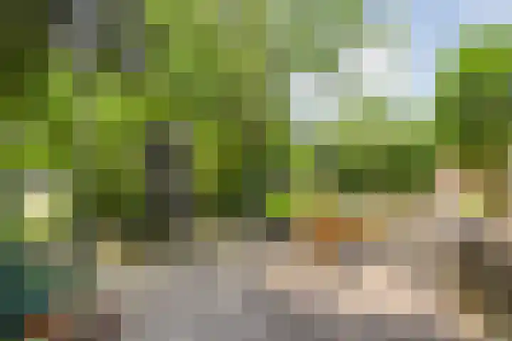 Kattenwinkelweg 4 Zwolle thumbnail 59