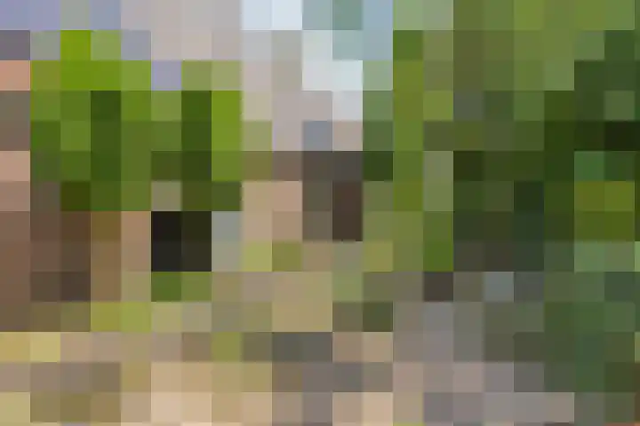 Kattenwinkelweg 4 Zwolle thumbnail 60