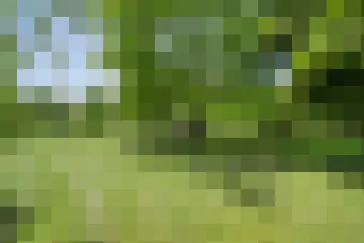 Kattenwinkelweg 4 Zwolle thumbnail 61