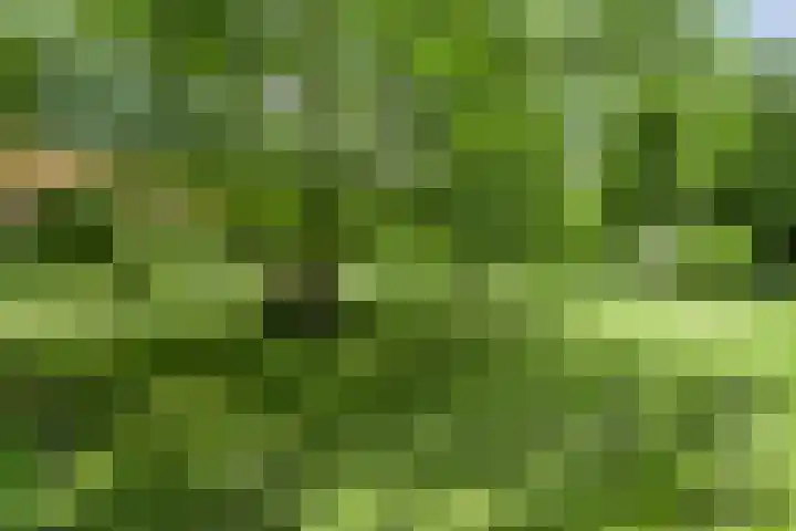 Kattenwinkelweg 4 Zwolle thumbnail 62