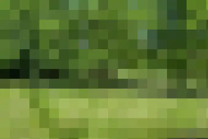 Kattenwinkelweg 4 Zwolle thumbnail 63