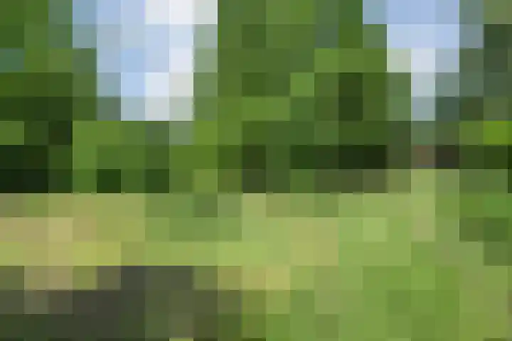 Kattenwinkelweg 4 Zwolle thumbnail 64