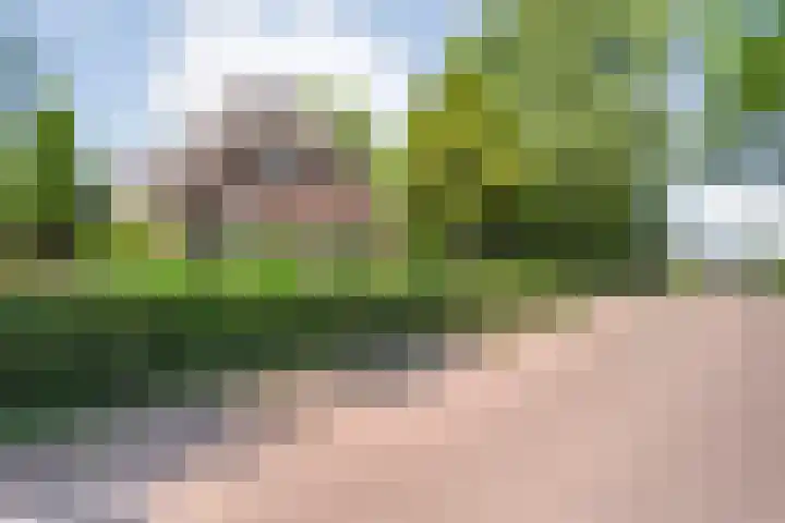 Kattenwinkelweg 4 Zwolle thumbnail 7