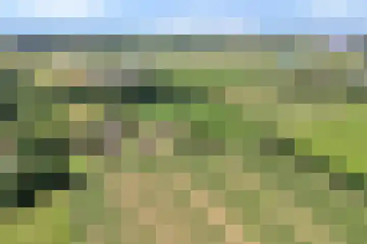 Kattenwinkelweg 4 Zwolle thumbnail 70