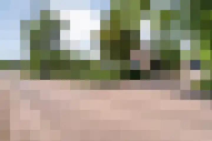Kattenwinkelweg 4 Zwolle thumbnail 8