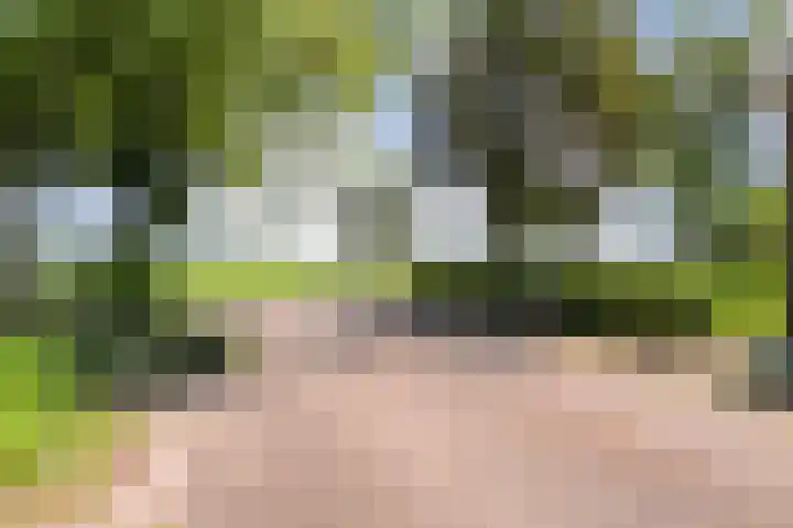 Kattenwinkelweg 4 Zwolle thumbnail 9
