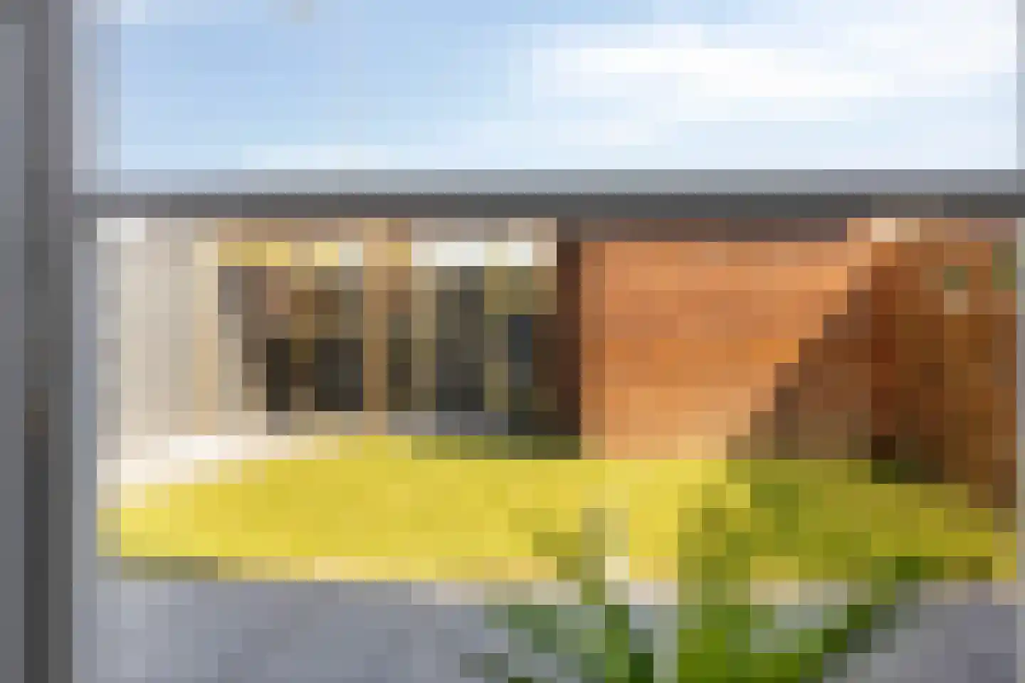 Kattestaart 28 Marknesse thumbnail 14