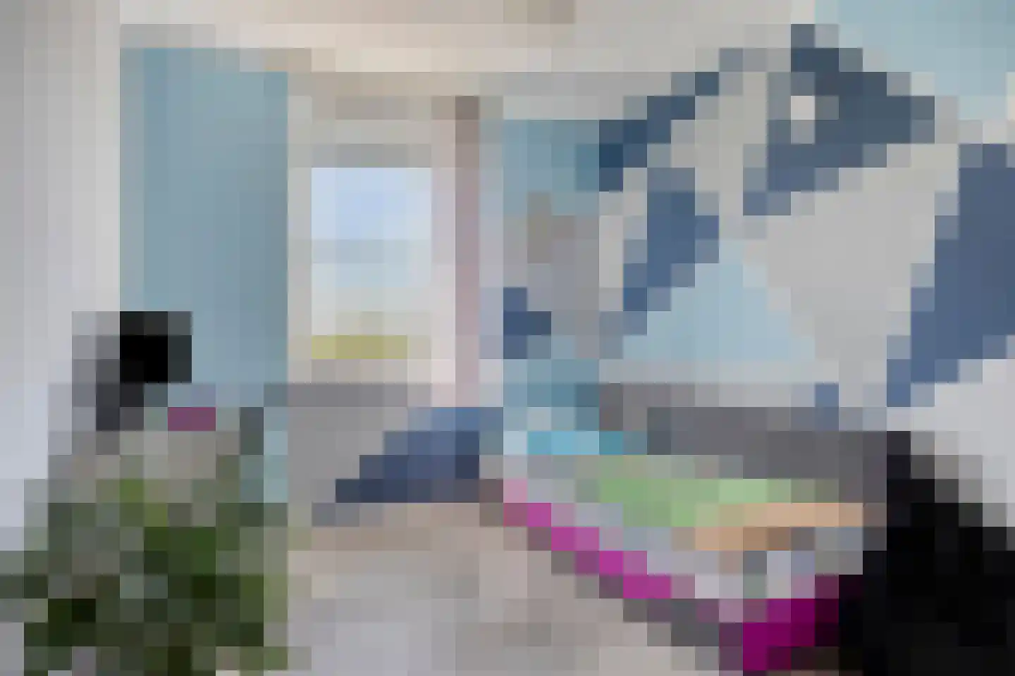 Kattestaart 28 Marknesse thumbnail 23