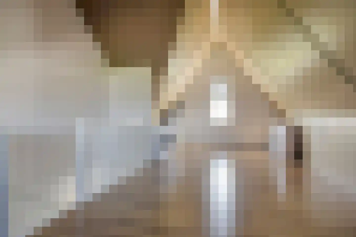 Kattestaart 28 Marknesse thumbnail 26