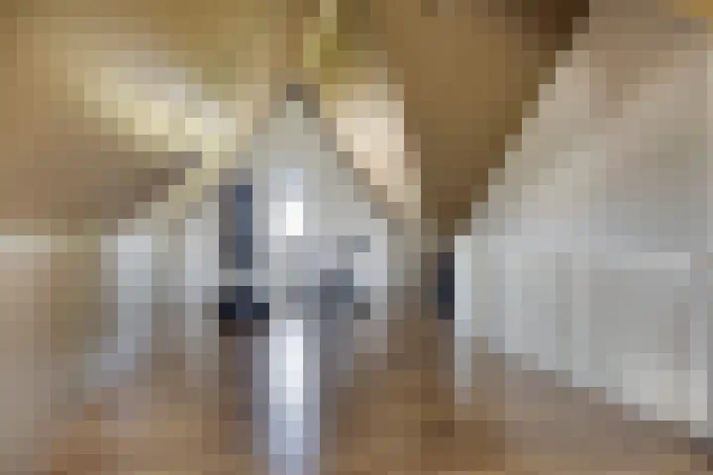 Kattestaart 28 Marknesse thumbnail 27