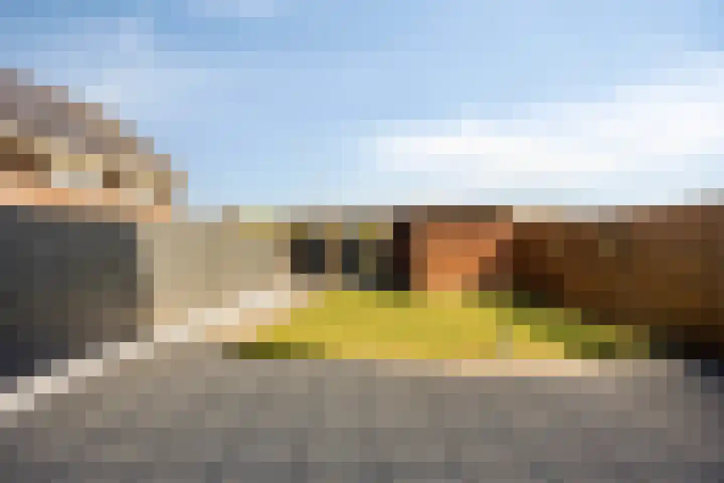 Kattestaart 28 Marknesse thumbnail 29