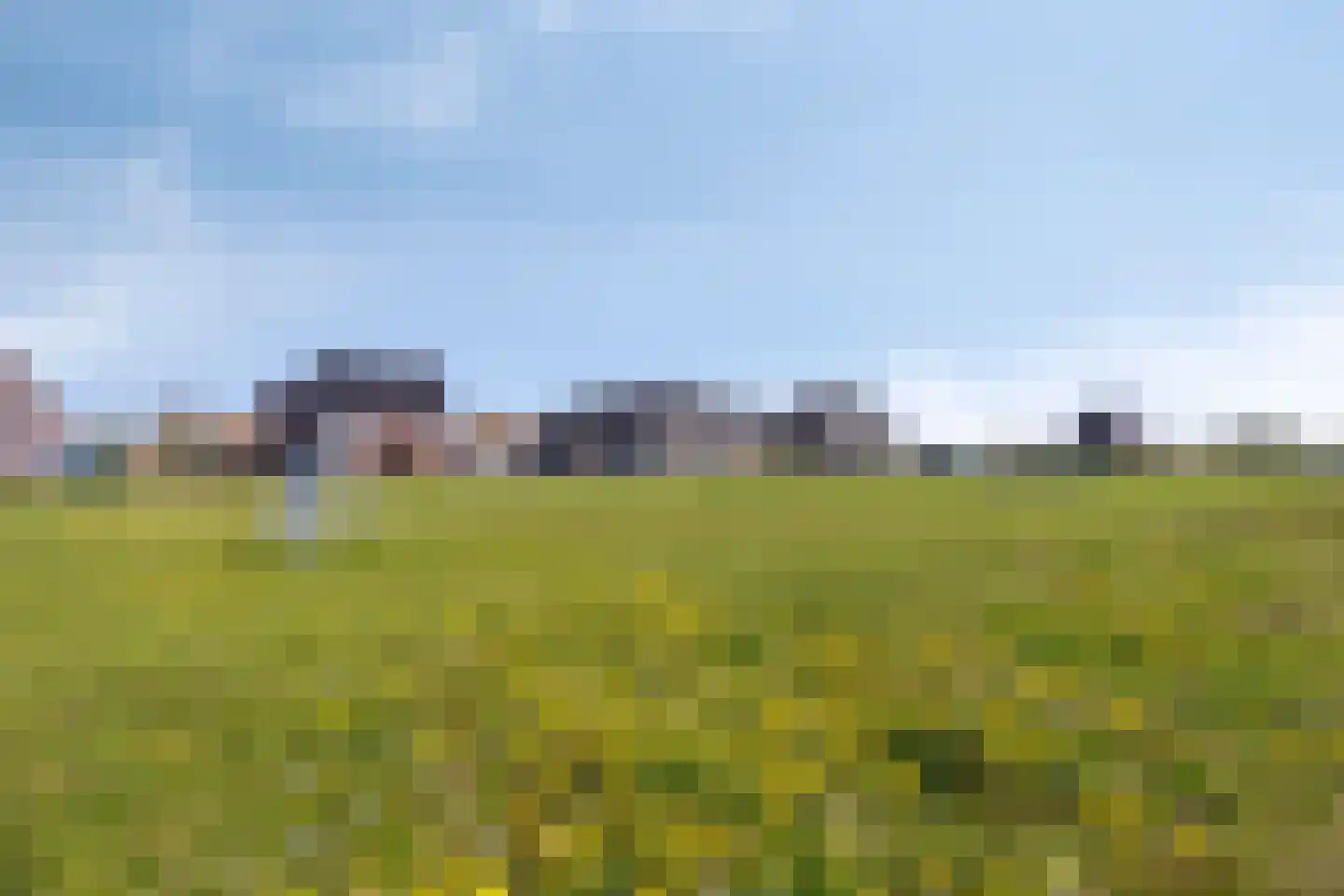 Kattestaart 28 Marknesse thumbnail 36