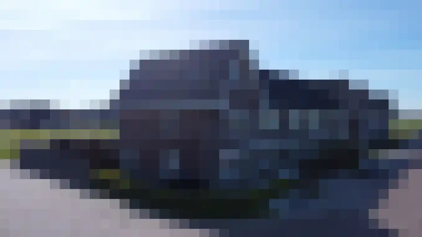 Kattestaart 28 Marknesse thumbnail 39