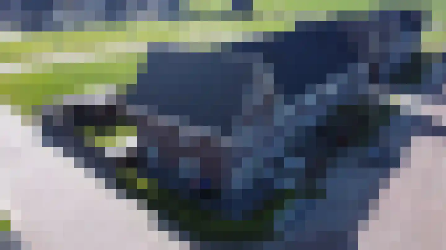 Kattestaart 28 Marknesse thumbnail 40