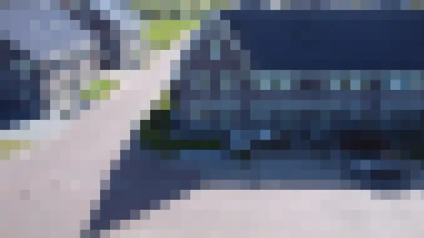 Kattestaart 28 Marknesse thumbnail 41