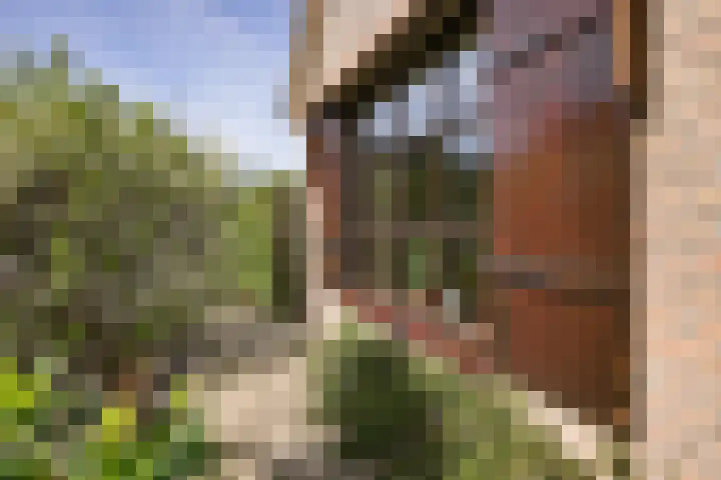 Kattestaart 4 Alblasserdam thumbnail 10