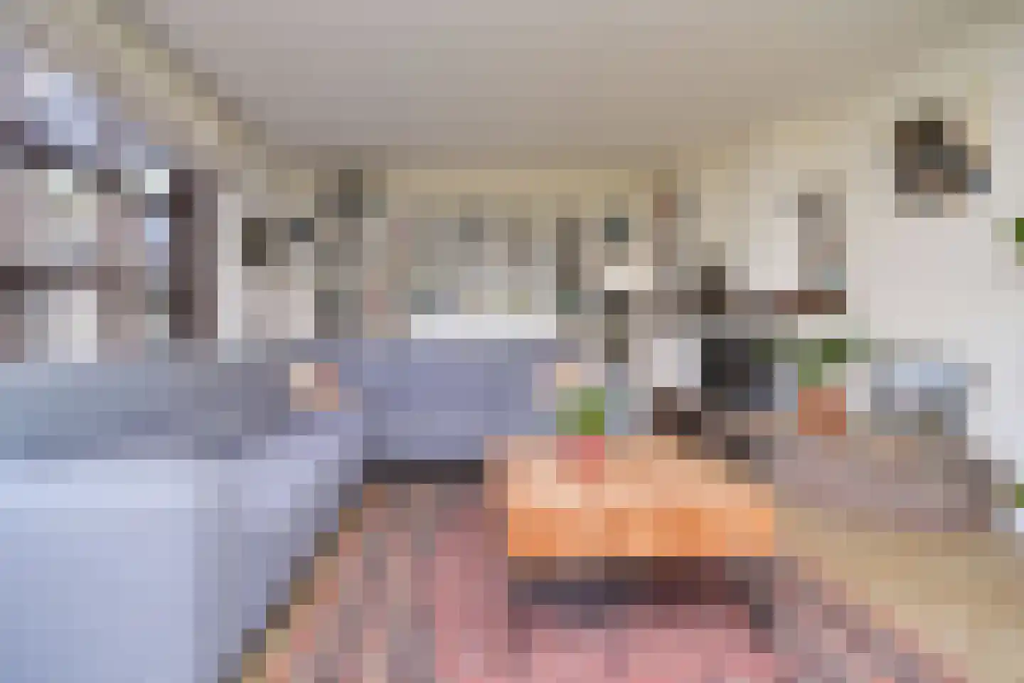 Kattestaart 4 Alblasserdam thumbnail 14