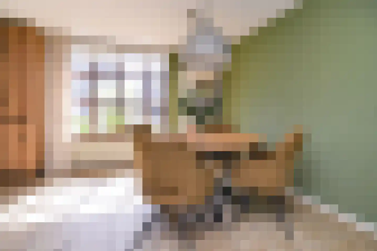 Kattestaart 4 Alblasserdam thumbnail 19