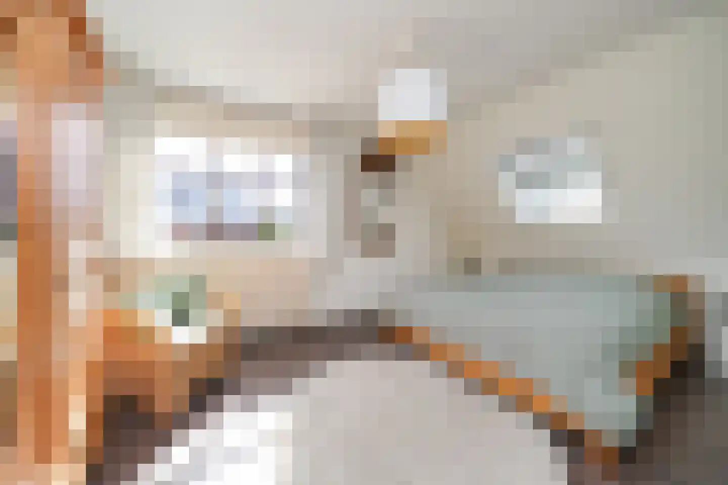 Kattestaart 4 Alblasserdam thumbnail 31