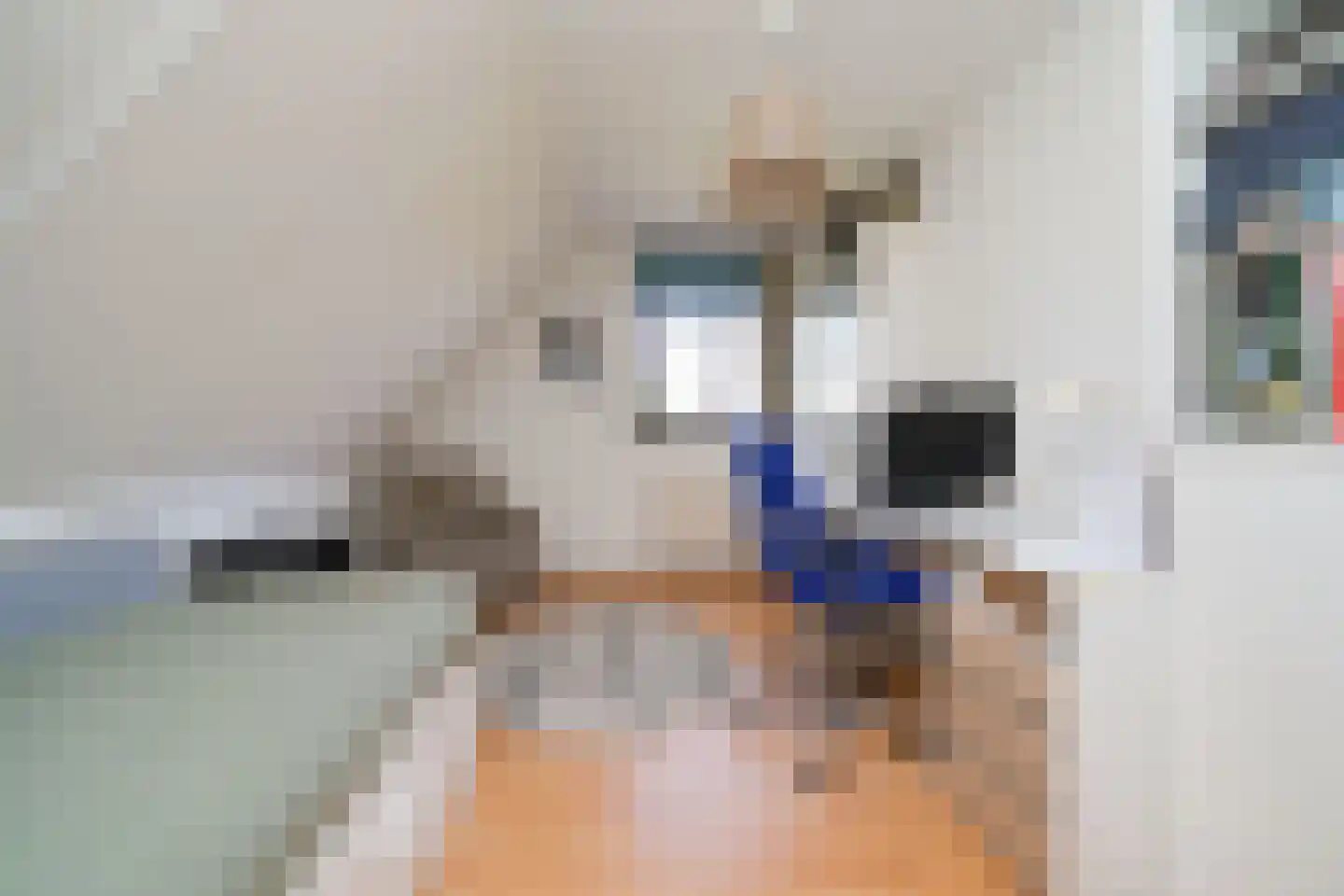 Kattestaart 4 Alblasserdam thumbnail 33