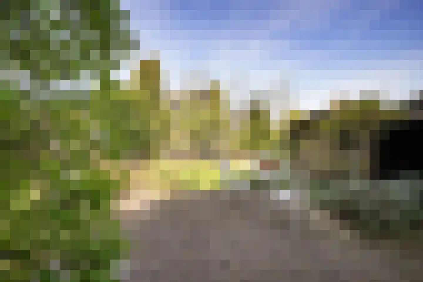 Kattestaart 4 Alblasserdam thumbnail 4