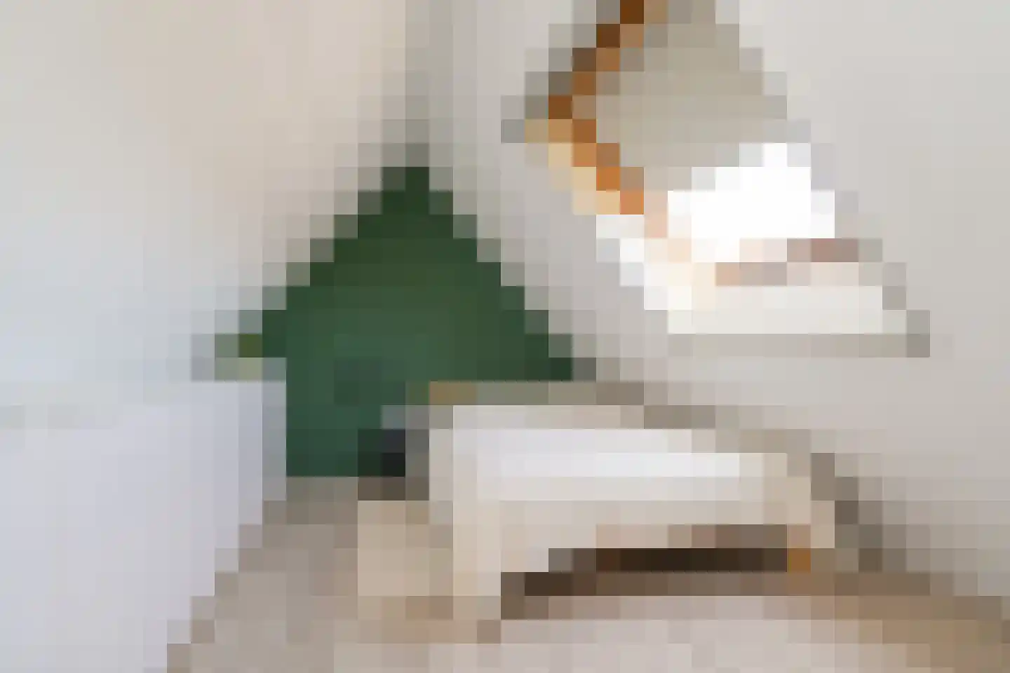 Kattestaart 4 Alblasserdam thumbnail 41