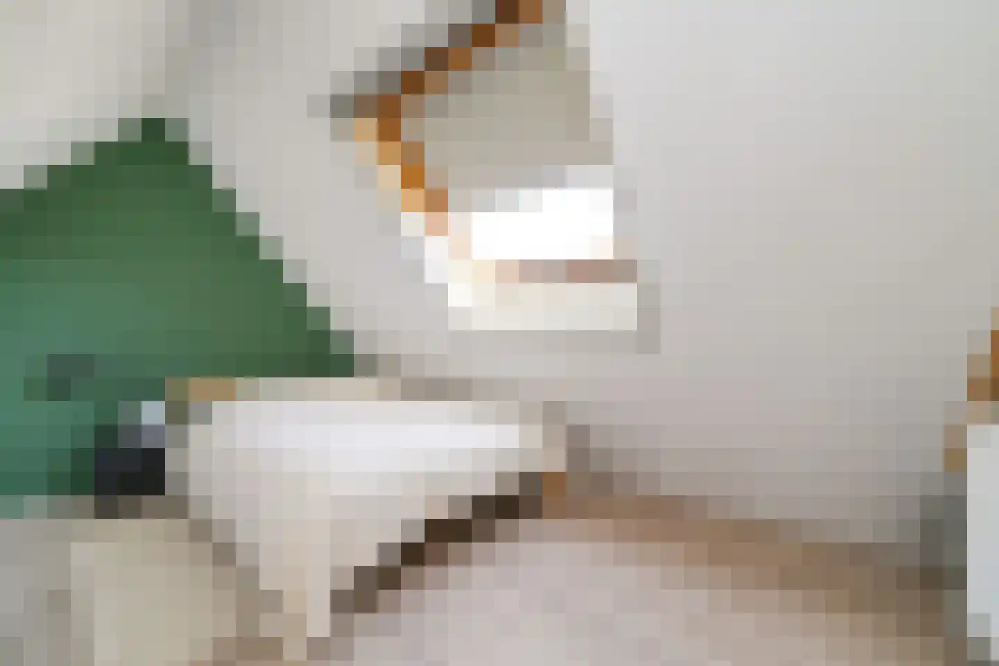 Kattestaart 4 Alblasserdam thumbnail 42
