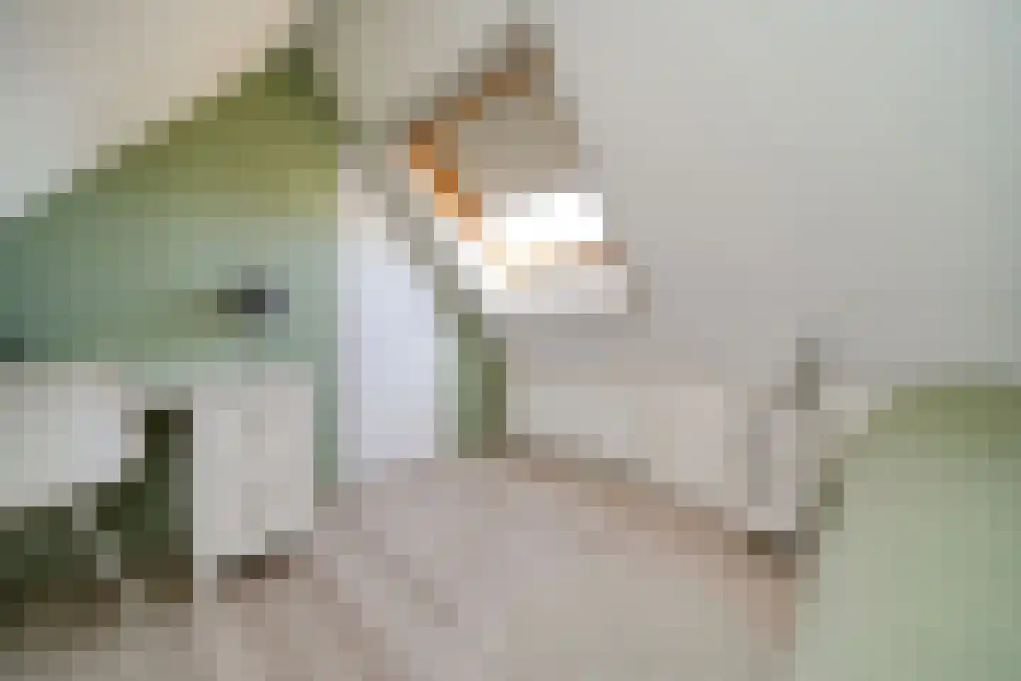 Kattestaart 4 Alblasserdam thumbnail 45