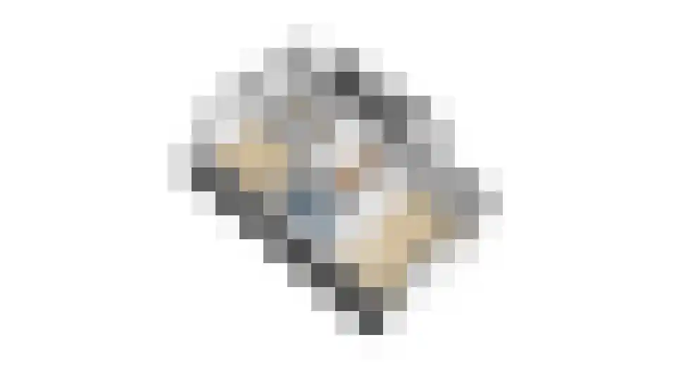 Kattestaart 4 Alblasserdam thumbnail 49