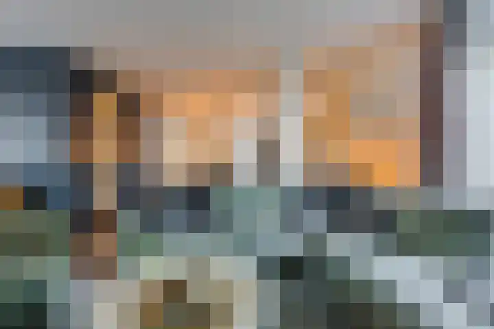 Kattestart 16 Gemert thumbnail 12