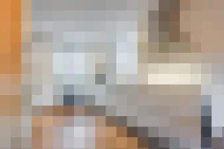 Kattestart 16 Gemert thumbnail 19