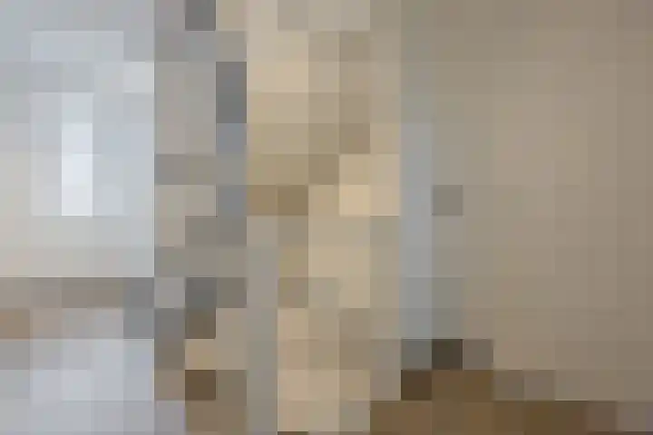 Kattestart 16 Gemert thumbnail 22