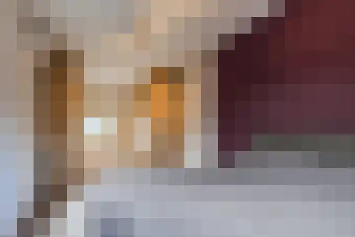 Kattestart 16 Gemert thumbnail 25