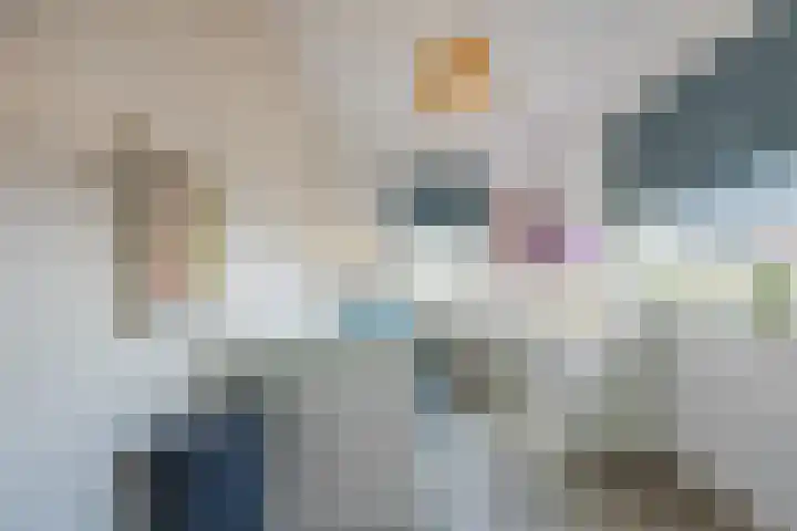 Kattestart 16 Gemert thumbnail 29