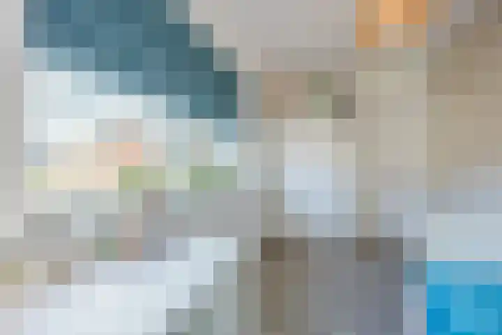 Kattestart 16 Gemert thumbnail 30