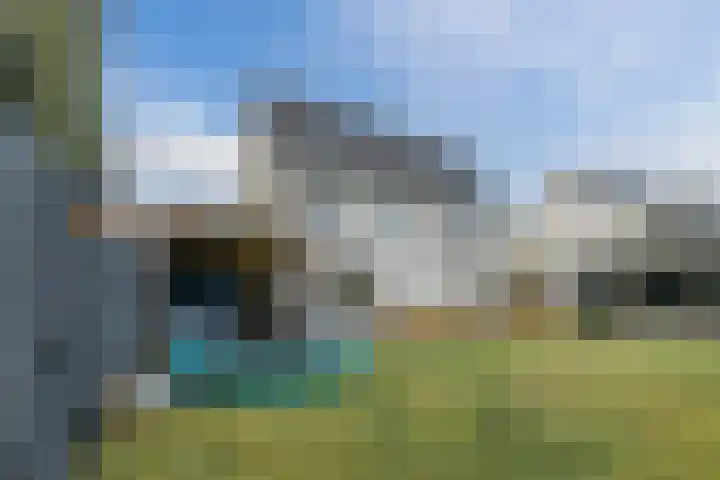 Kattestart 16 Gemert thumbnail 37