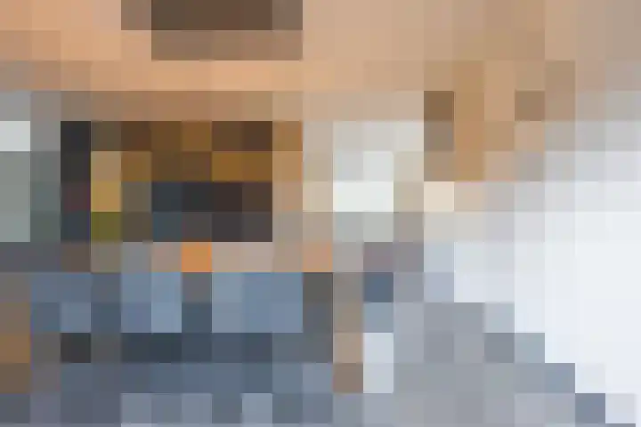 Kattestart 16 Gemert thumbnail 4