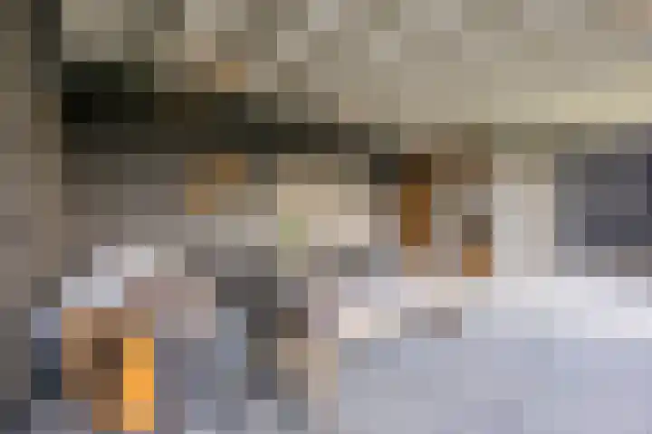 Kattestart 16 Gemert thumbnail 40