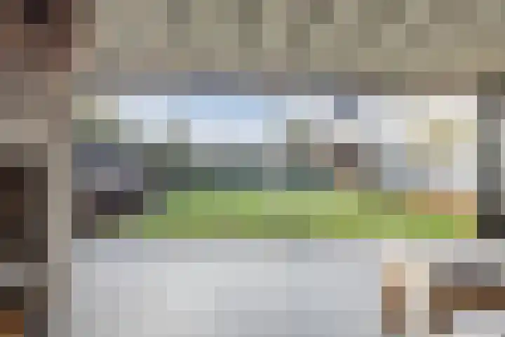 Kattestart 16 Gemert thumbnail 42