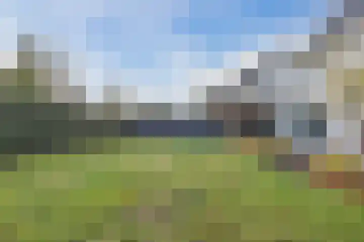 Kattestart 16 Gemert thumbnail 44
