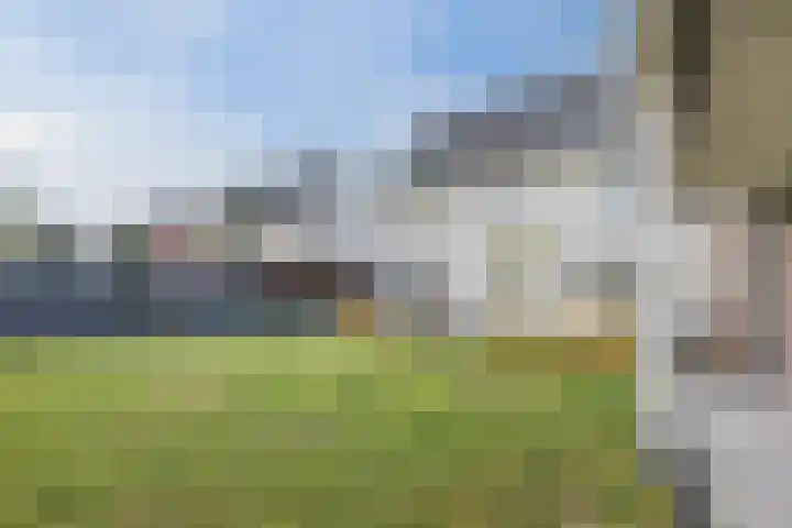 Kattestart 16 Gemert thumbnail 45