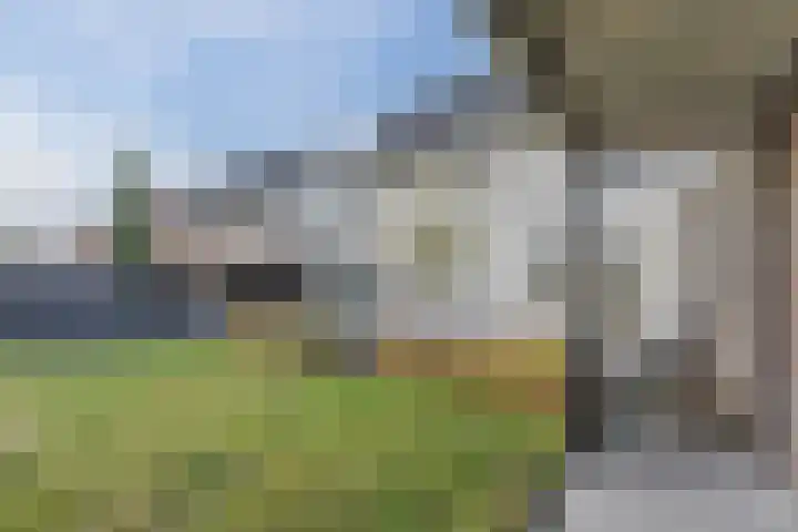 Kattestart 16 Gemert thumbnail 46