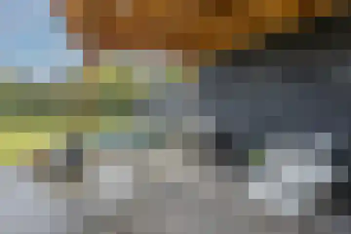 Kattestart 16 Gemert thumbnail 48