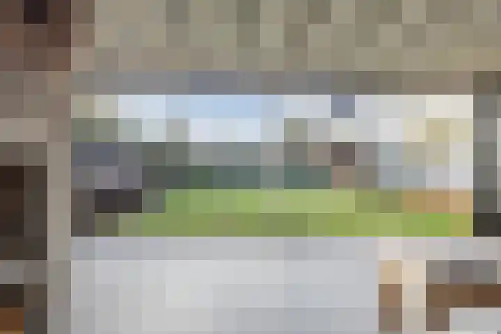 Kattestart 16 Gemert thumbnail 5
