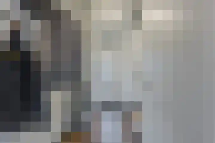 Kattestart 16 Gemert thumbnail 6