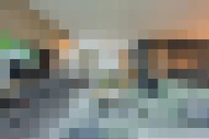 Kattestart 16 Gemert thumbnail 9