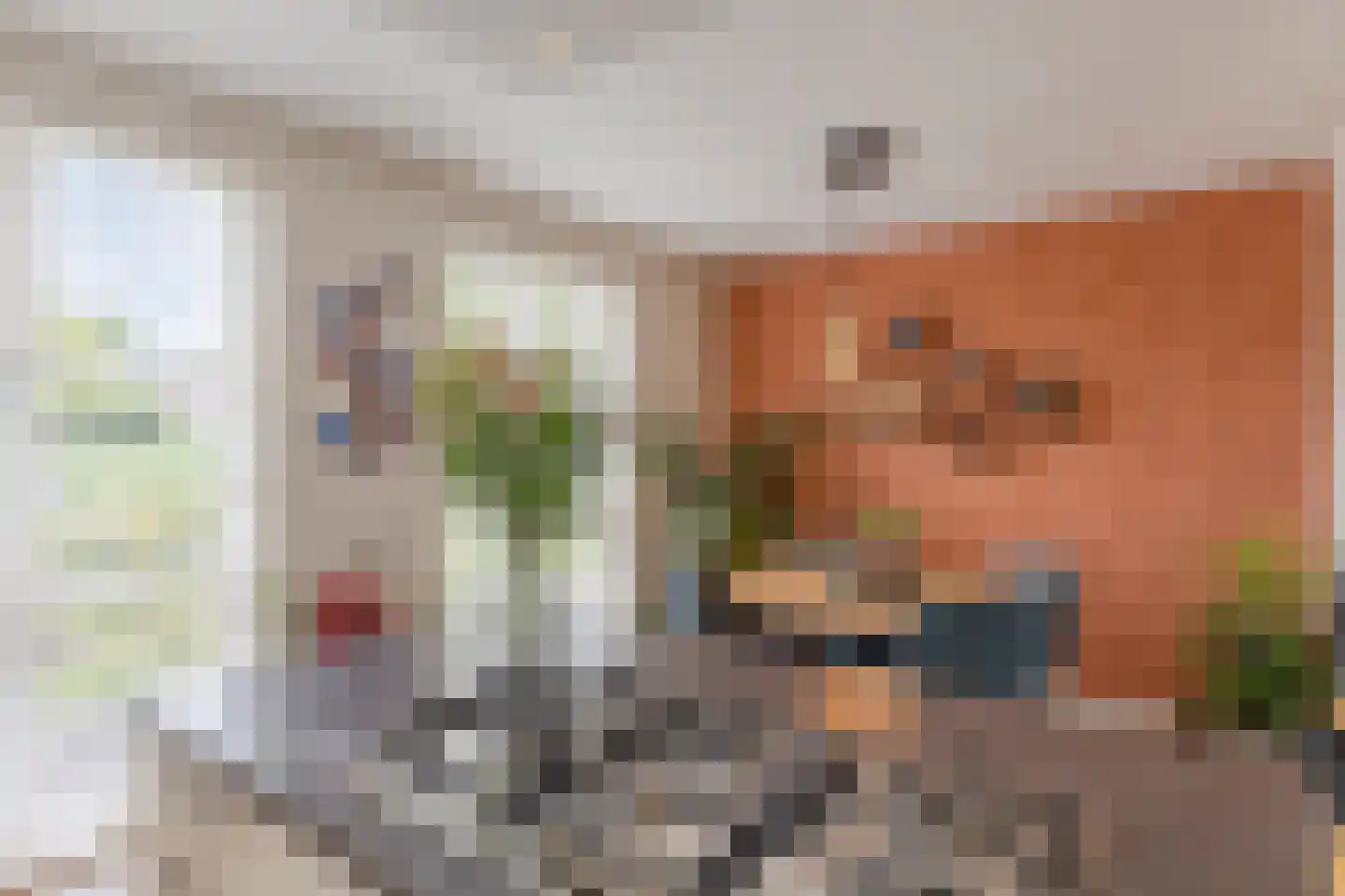 Kattestart 47 Gemert thumbnail 10